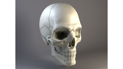 Man Skull