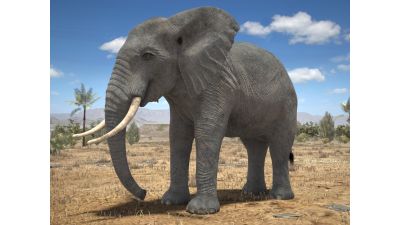 African Elephant Rigged for 3dsmax