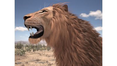 Lion The King Textured Hair