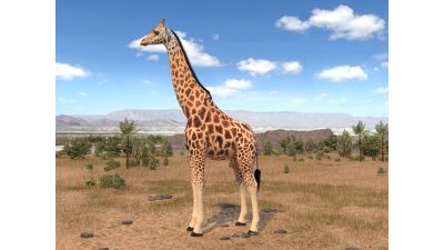 Giraffe rigged for 3dsmax