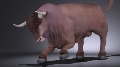 Bull Rigged for 3dsmax