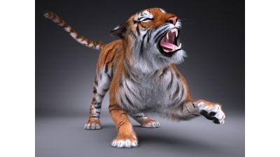 Sumatran Tiger for 3dsmax
