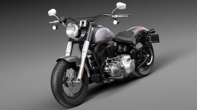 Harley-Davidson Softail Slim 2015